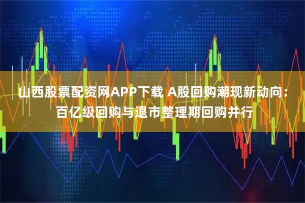 山西股票配资网APP下载 A股回购潮现新动向： 百亿级回购与退市整理期回购并行