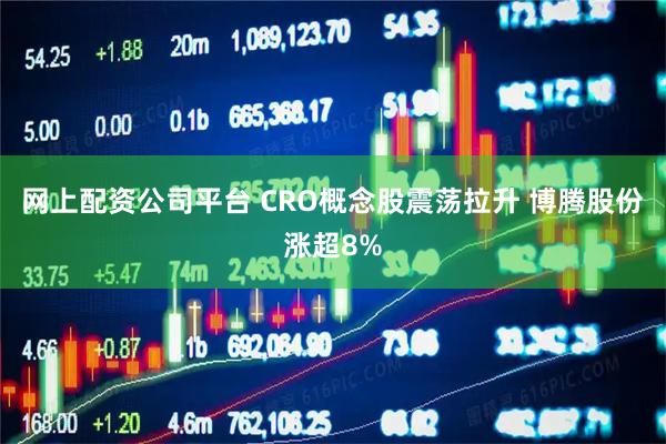 网上配资公司平台 CRO概念股震荡拉升 博腾股份涨超8%